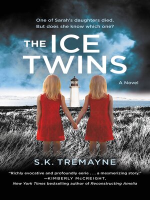 The Ice Twins - ebook